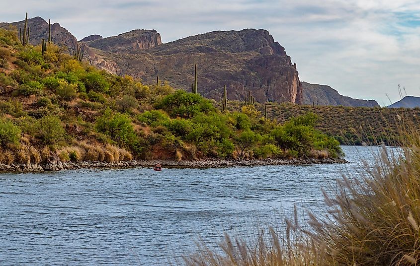 A lone kayaker fishing in the Saguaro Lake