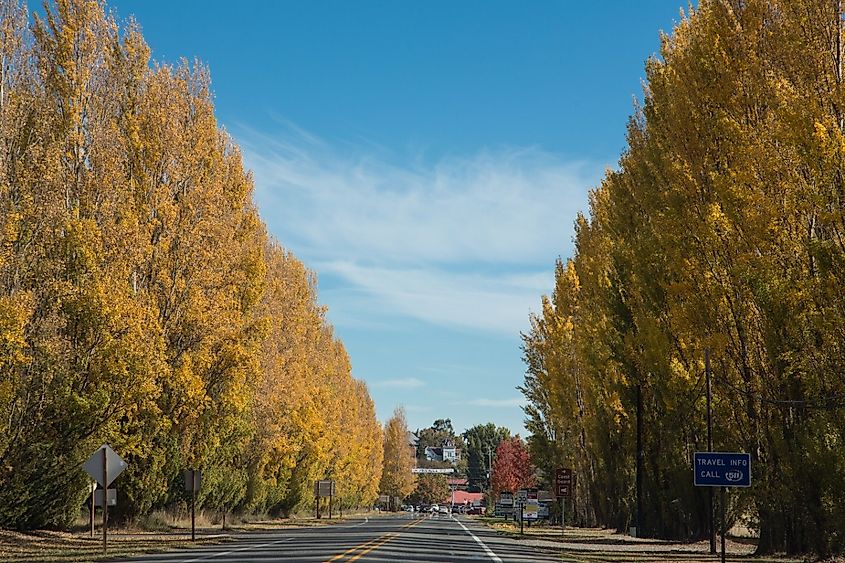 Autumn road, Port Townsend, Washington.