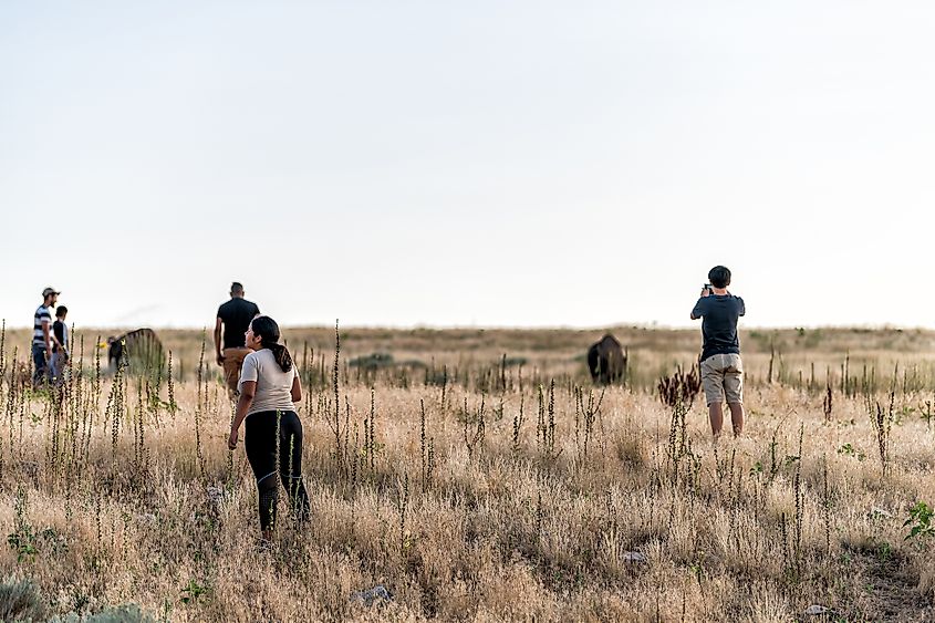 Antelope Island hiking