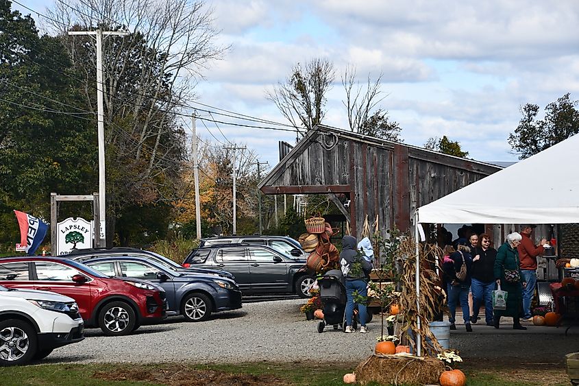 Lapsley Orchard in Pomfret, Connecticut