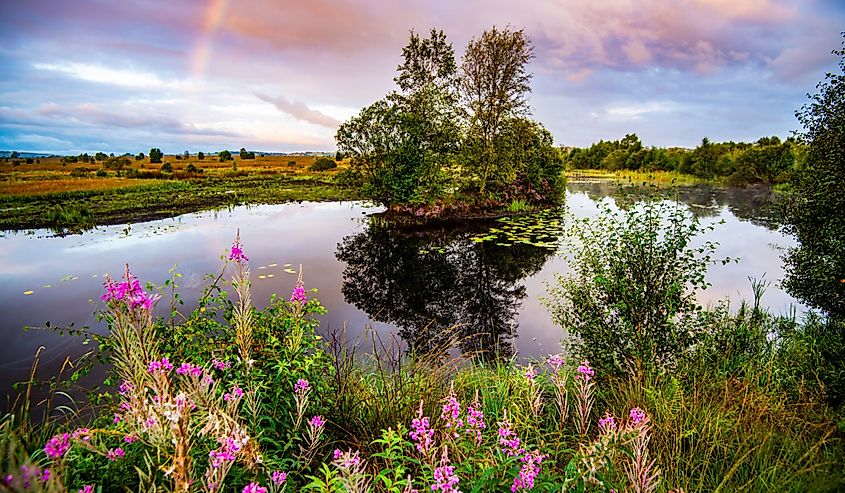 Beautiful lake and marsh landscape at Cors Caron National Nature Reserve, Tregaron, Ceredigion, Wales