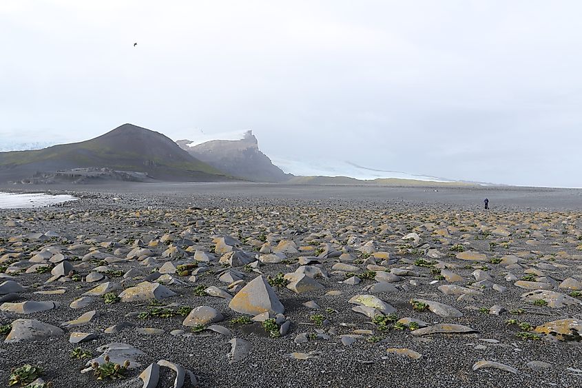 Heard Island landscape