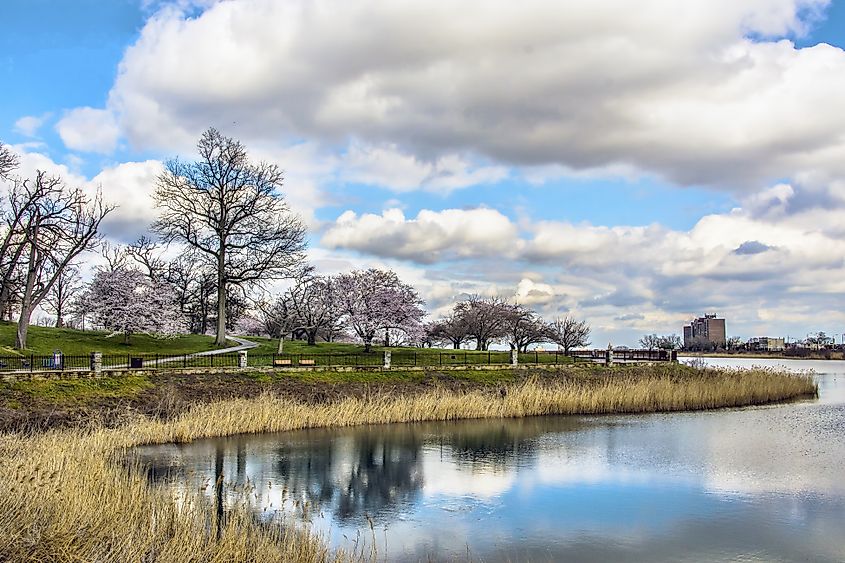 Druid Hill Park, home of the Howard Peters Rawlings Conservatory and Botanic Gardens.
