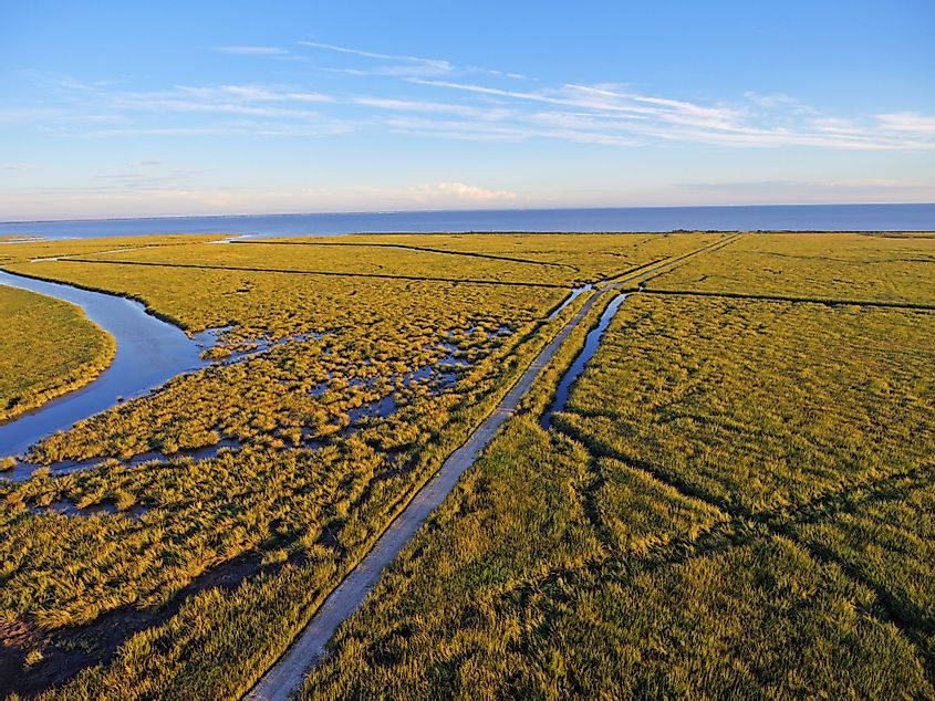 Salt marshes in Delaware Bay