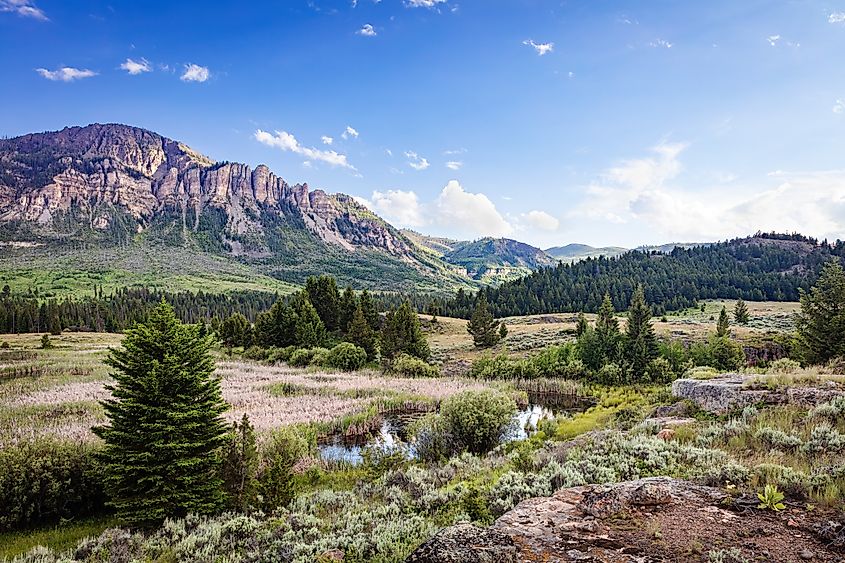 Mountains, meadows and forest trees of Shoshone National Forest in northwest Wyoming.