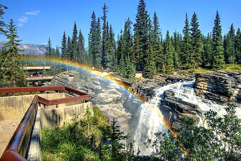 Athabasca falls