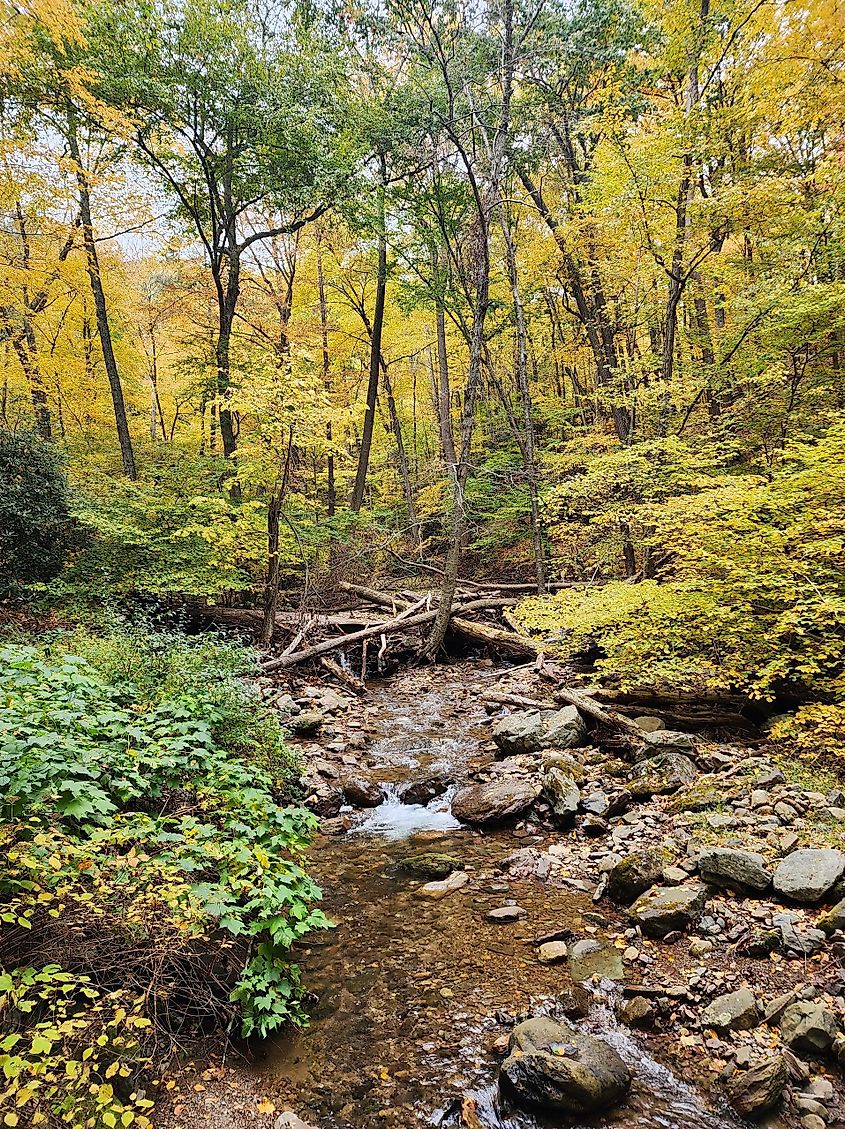 Appalachian trail sunfish pond in New Jersey