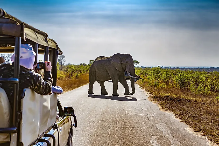 what type of tourist visit kruger national park