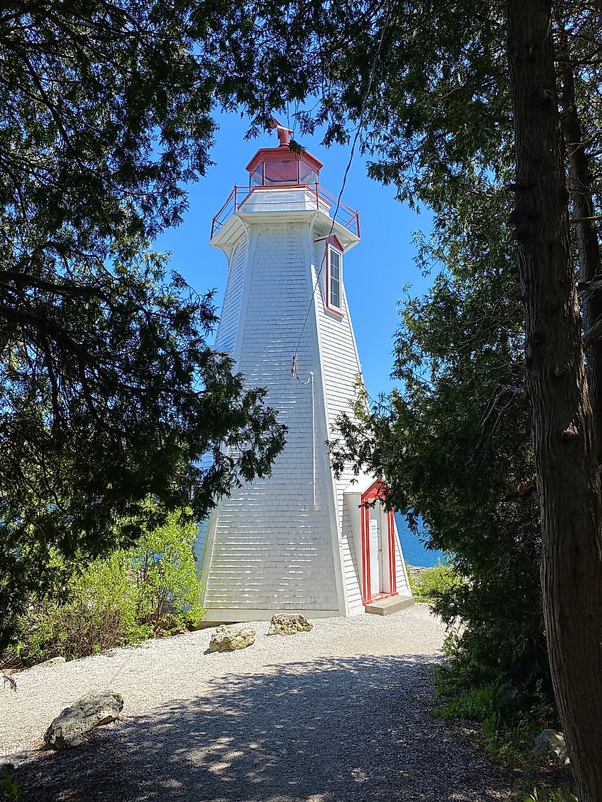 A whitewashed lighthouse with red top seen through the trees.