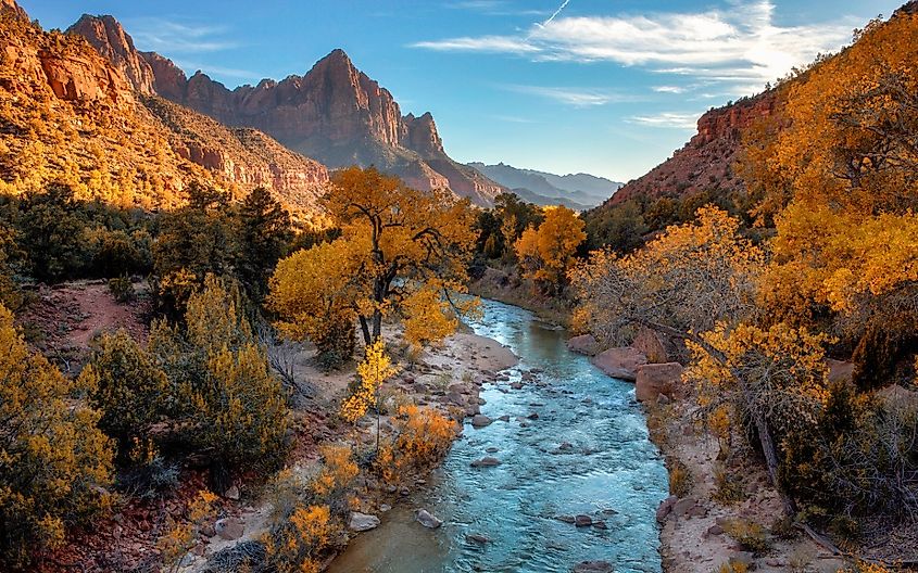 View of the Watchman mountain and the virgin river in Zion National Park located in the Southwestern United States, near Springdale, Utah