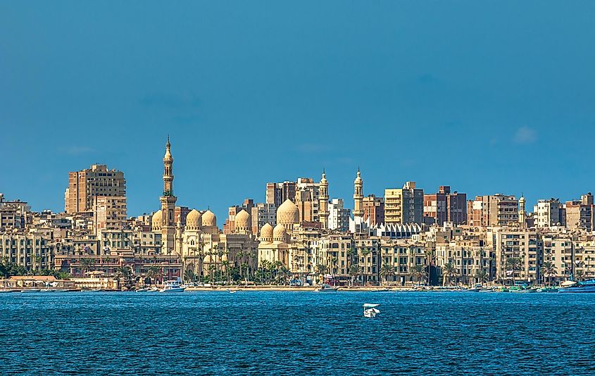 The skyline of modern-day Alexandria, Egypt.