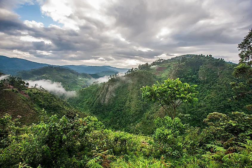 congo rainforest tourist attractions