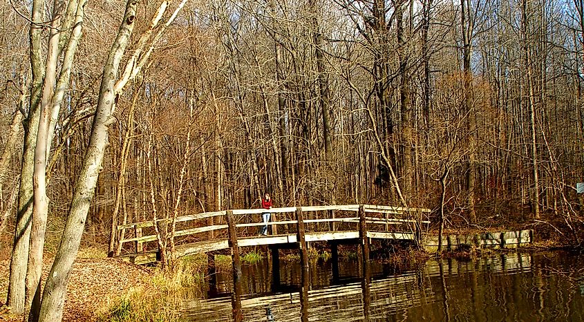Lums Pond State Park in Delaware.