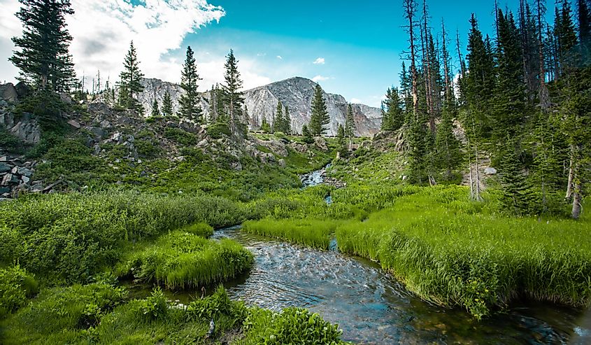 Beautiful summer day in Medicine Bow National Forest, Wyoming