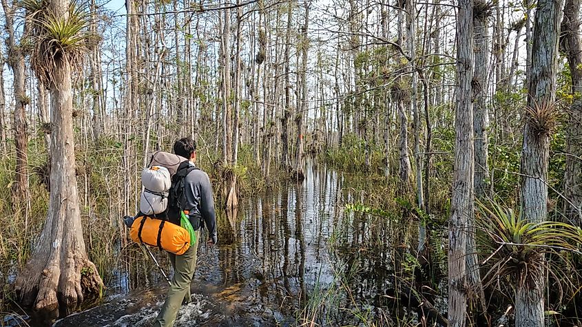 Big Cypress National Preserve, Florida