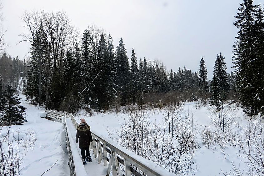 A young woman snowshoeing in Fernie, British Columbia, Canada