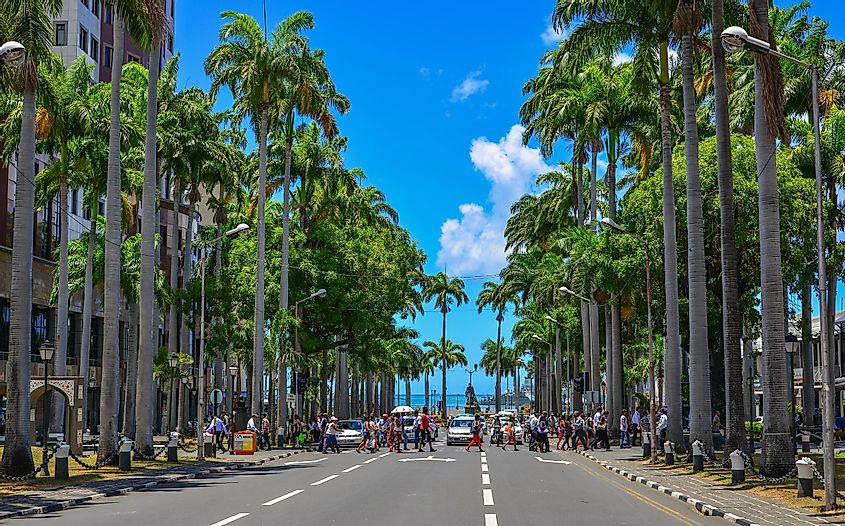 Main street with palm trees in Port Louis, Mauritius.