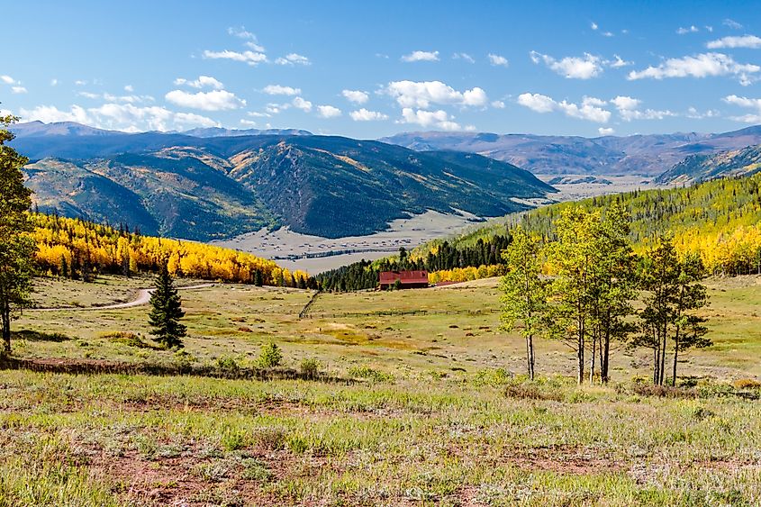 Golden aspens along the Bachelor Loop near Creede, Colorado