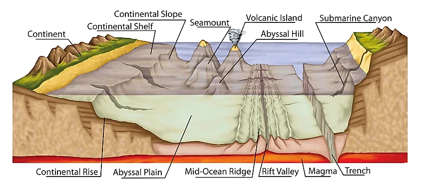 Abyssal plain