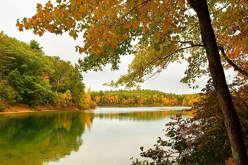 Beautiful Fall Foliage at Walden Pond, Concord, Massachusetts