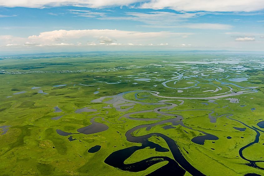 Aerial view of the Gambia River.