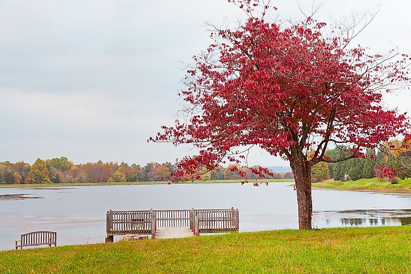 Arboretum and Research Forest near Louisville, Kentucky.