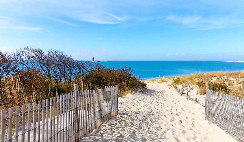 A pathway to the shore at the Delaware seaside with a view of a lighthouse.