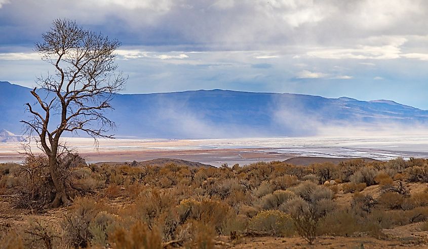 Dust clouds billow across Owens Dry Lake, near Lone Pine, California.