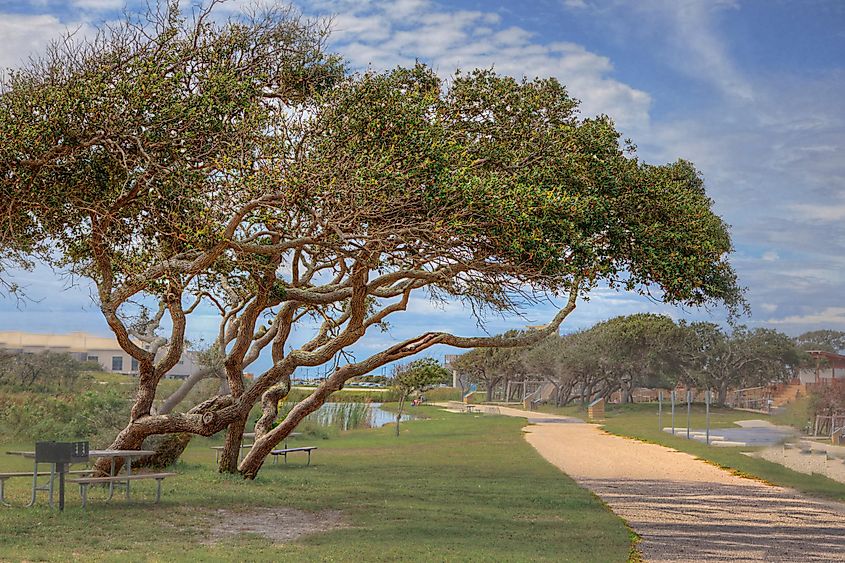 Gulf State Park in Gulf Shores, Alabama.