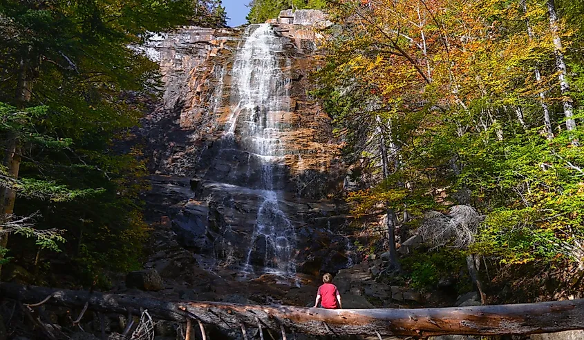 Boy looking at Arethusa Falls