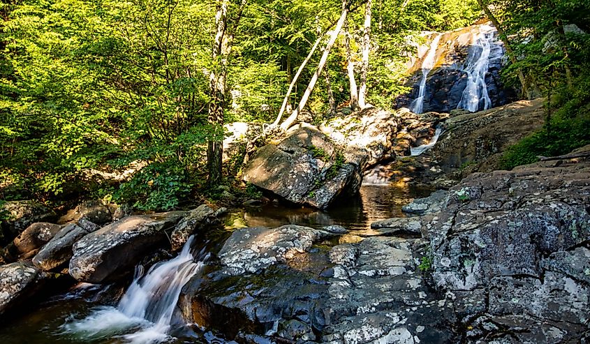 waterfalls in the forest with green trees 