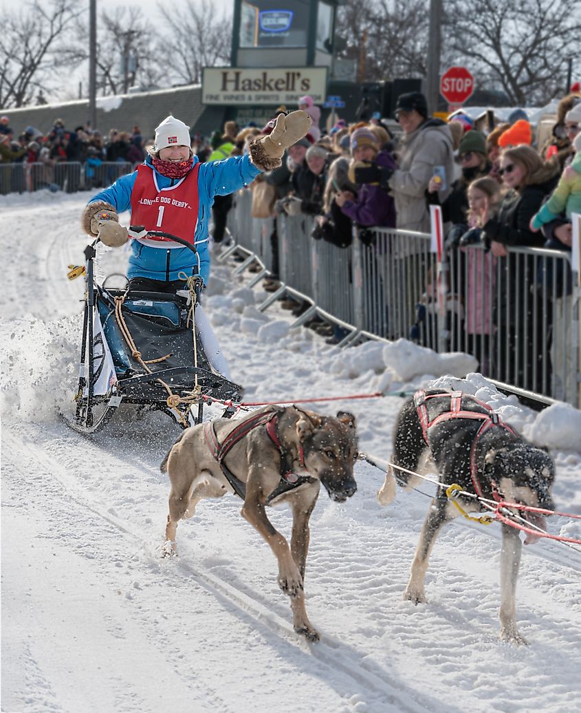 Klondike Sled Dog Race in Excelsior, Minnesota.
