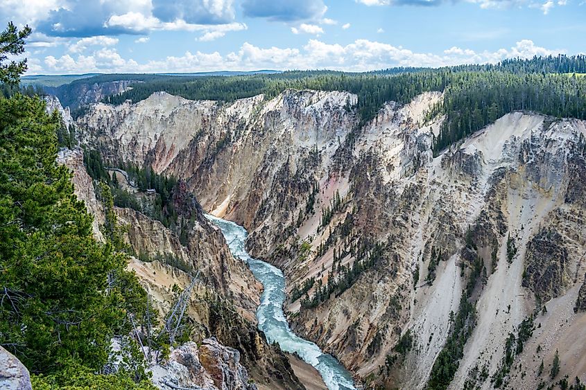 The famous Grand Canyon of the Yellowstone in Wyoming