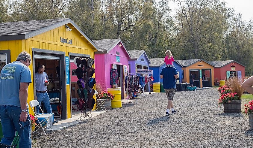 Alaska County State Fair