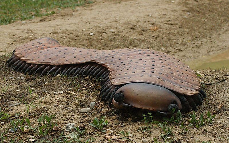 8 Amazing Prehistoric Animals - WorldAtlas 8 Amazing Prehistoric Animals - WorldAtlas