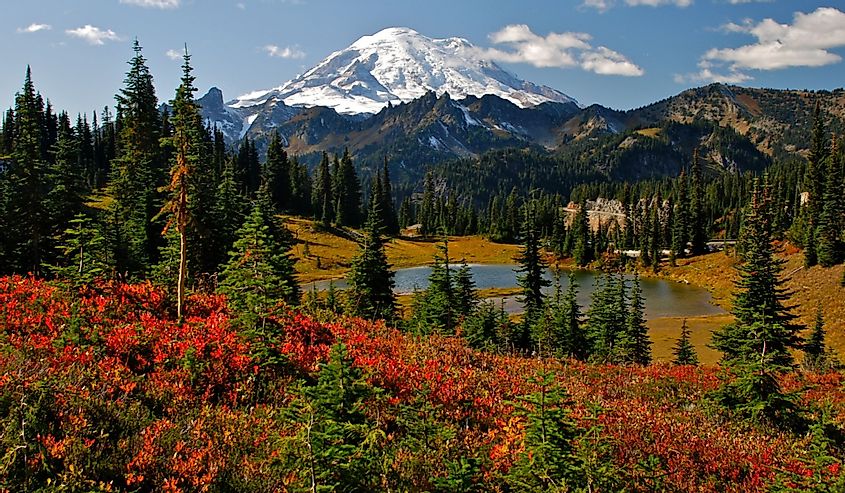 Autumn colors at Mt. Rainier National Park