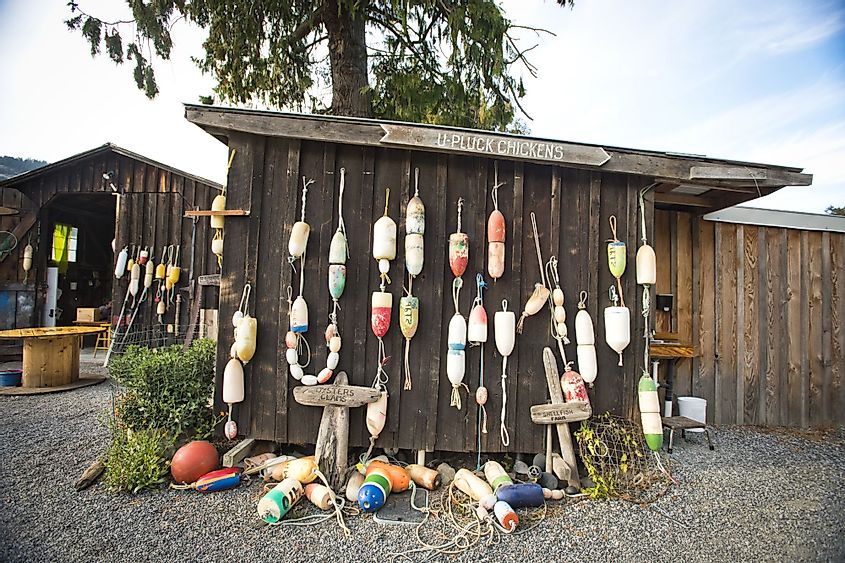 Bouys hang on a barn at a shellfish farm on Orcas Island, Washington