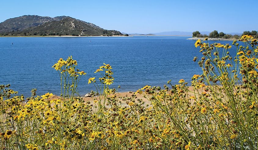 Lake Perris State Recreation Area in spring with yellow flowers along the shore