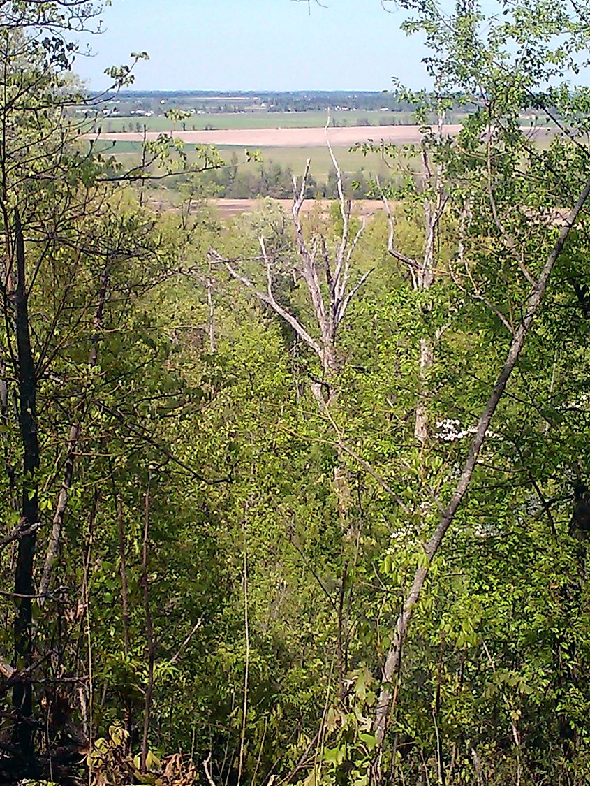 View from Crowley's Ridge at Morris State Park
