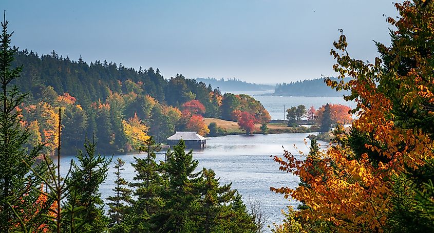 Autumn in Acadia National Park, Maine, USA