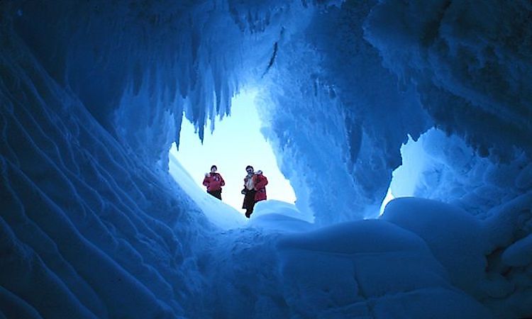 Animals That Live In Caves - WorldAtlas Animals That Live In Caves - WorldAtlas
