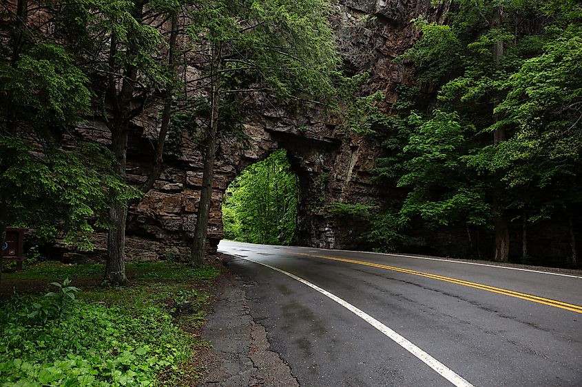 Backbone Rock in Damascus, Virginia.