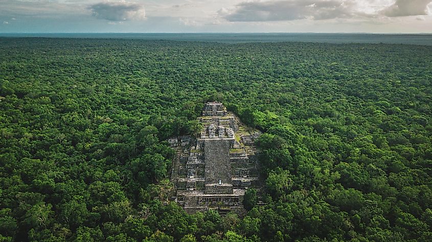 Ruins of the ancient Mayan city of Calakmul surrounded by the jungle in Mexico.