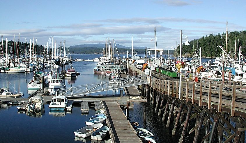 Boats along the dock in Friday Harbor, Washington