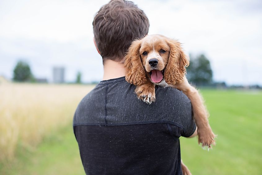 Humans and animals have built close symbiotic relationships in the ecosystem.