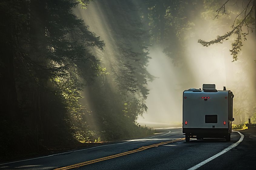 US 101 through Redwood National Park.