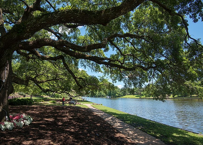 A beautiful park in Natchitoches, Louisiana.