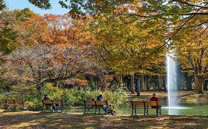 Yoyogi Park