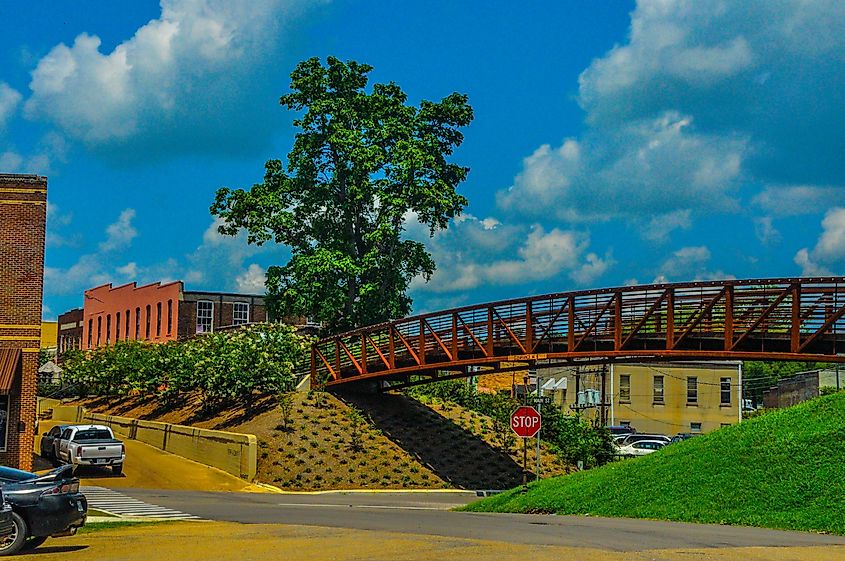 Bankhead Street, the main thoroughfare through the business district of New Albany, Mississippi.