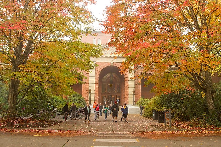 The womens building on a foggy autumn morning at Oregon State University